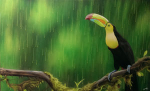Graffiti Leinwand Tucan im Regen