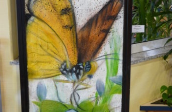 Graffiti Schmetterling mit Glas