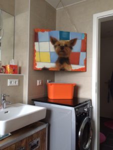 Graffitiauftrag Hund