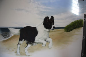 Trixie Graffiti Auftrag Tarp Flensburg Hund nah