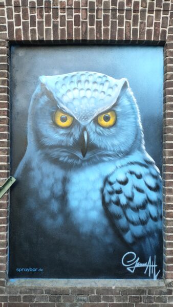 Eulen Portrait Mural Art