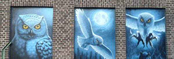 Wandmalerei Graffiti Eulen