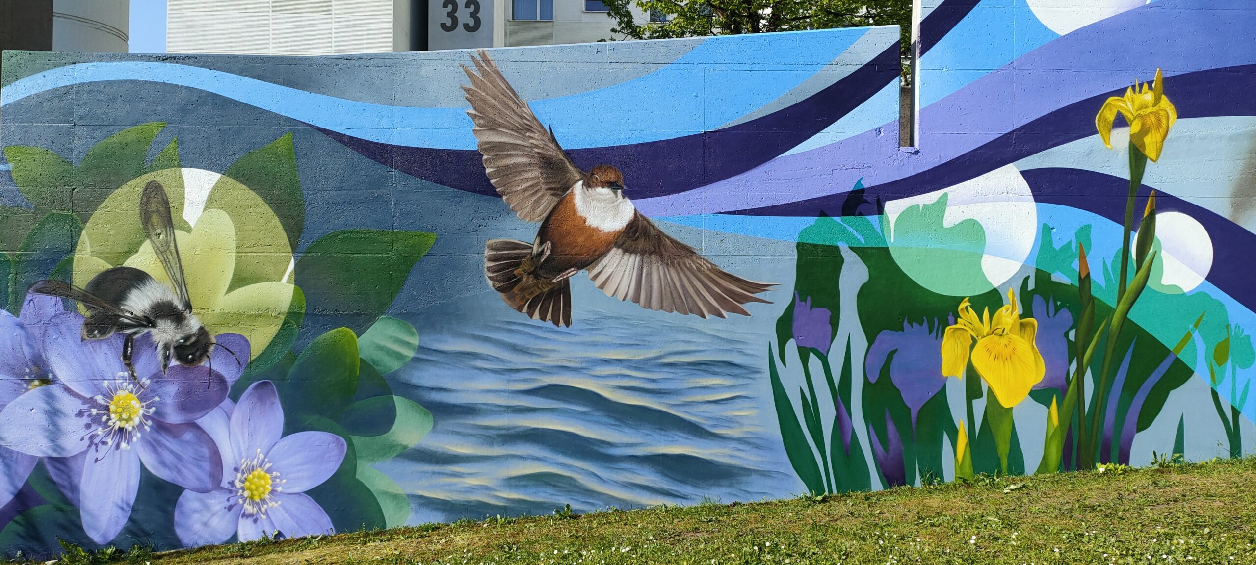 Mural-Detail Webermühle – Wasseramsel und Wildbiene auf Leberblümchen