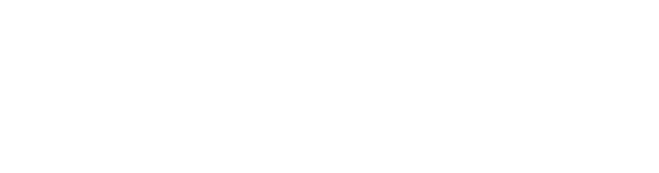 Chiesi GmbH